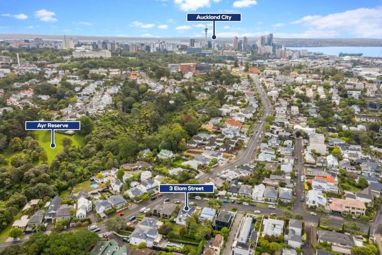 3 Elam Street Parnell_28