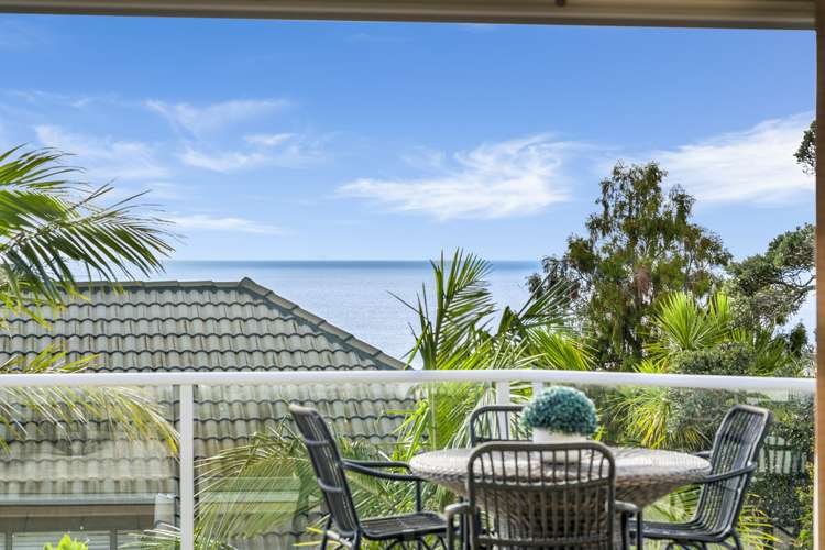 19a Scarboro Terrace Murrays Bay_4