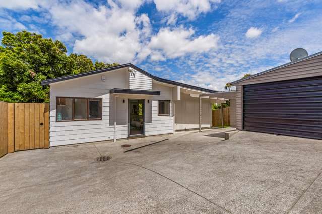 407a Richardson Road Mount Roskill_1