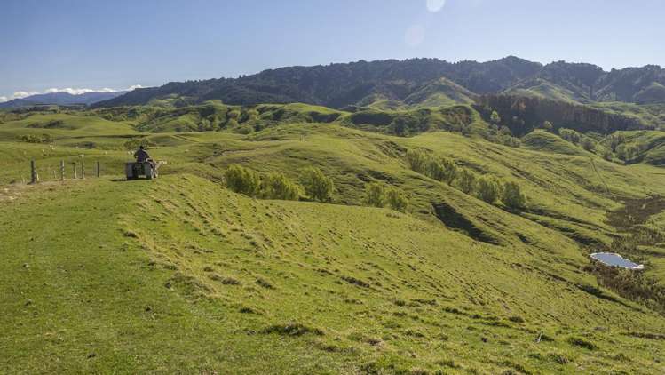 329 North Road Masterton_9