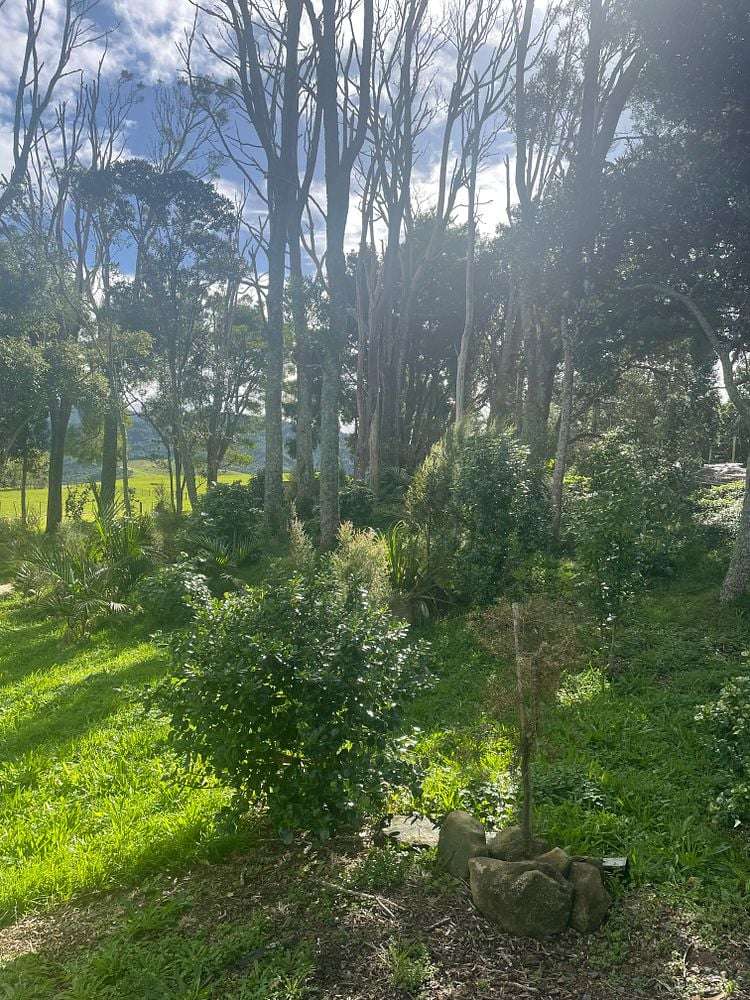 47 Orchard Lane Mangawhai_15