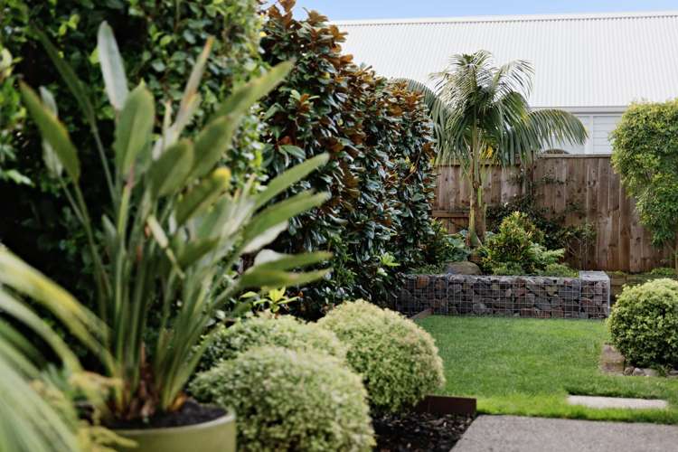 31 Pennantia Court Papamoa_28