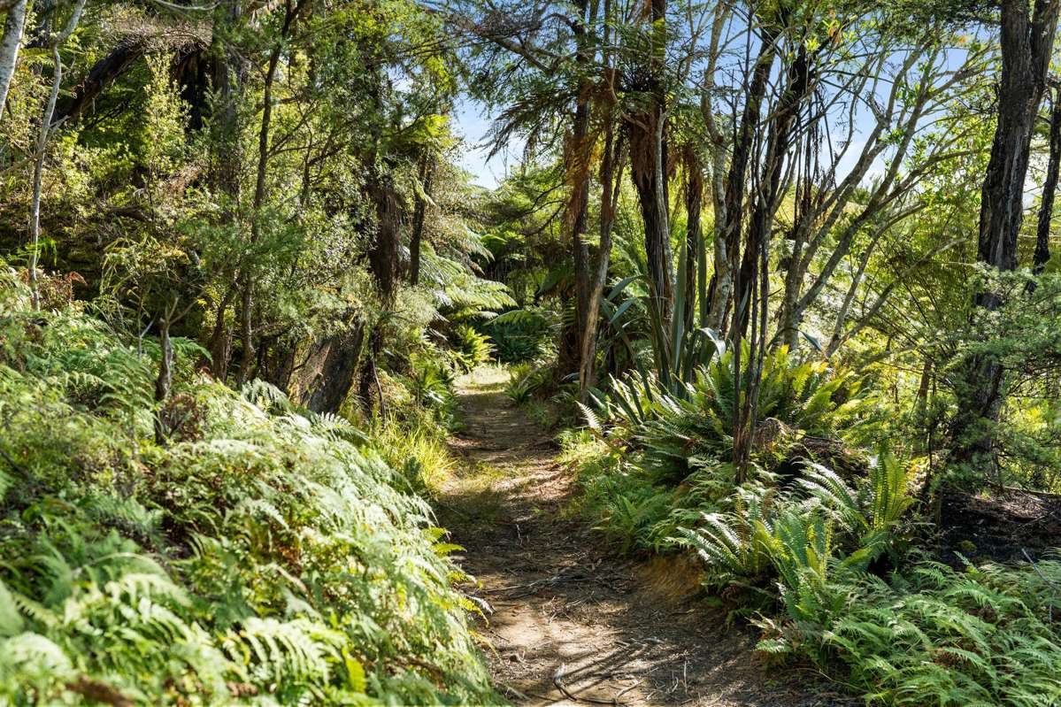 Lots 1 and 5 Nydia Bay_2