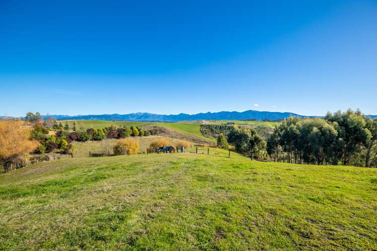 31 Harley Ridge Upper Moutere_4