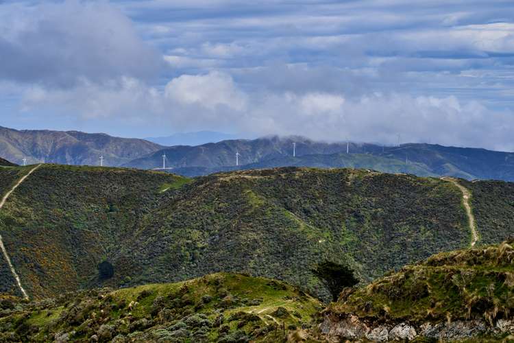 380 Hawkins Hill Road Brooklyn_7