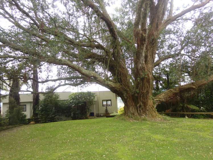 63 Oparure Road Te Kuiti_18