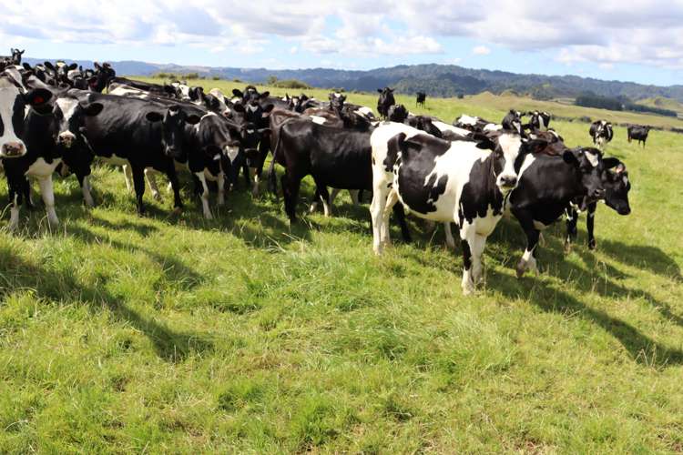 1 Waitaanga Road Ahititi_24