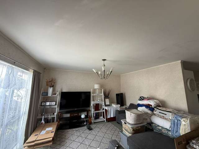 187 Te Irirangi Drive Flat Bush_2