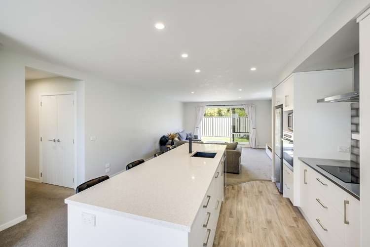 44a Downing Avenue Pirimai_3