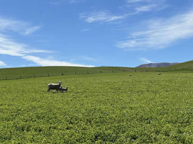 Prestons Road Kyeburn_2