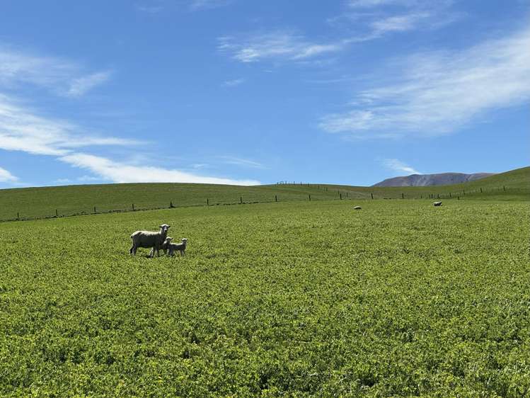 387 Kyeburn-Hyde Road and Preston Road Kyeburn_16