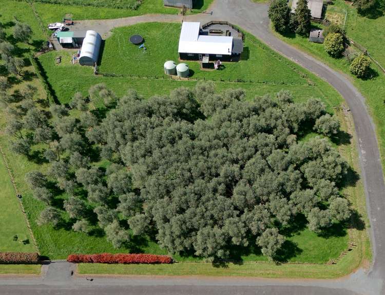 9 Meadow Lane Pakaraka_23