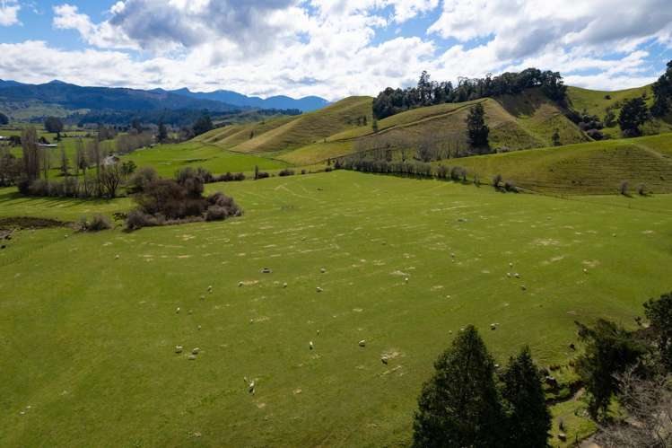 121 Win Valley Road Dovedale_25