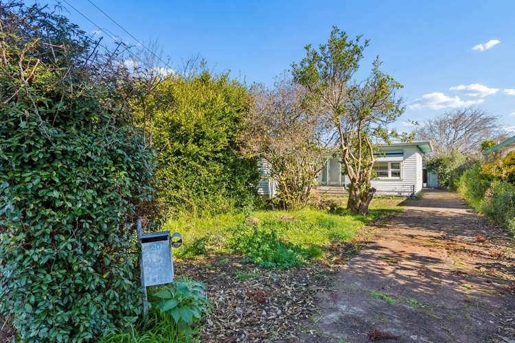 20 Holly Street Avondale_11