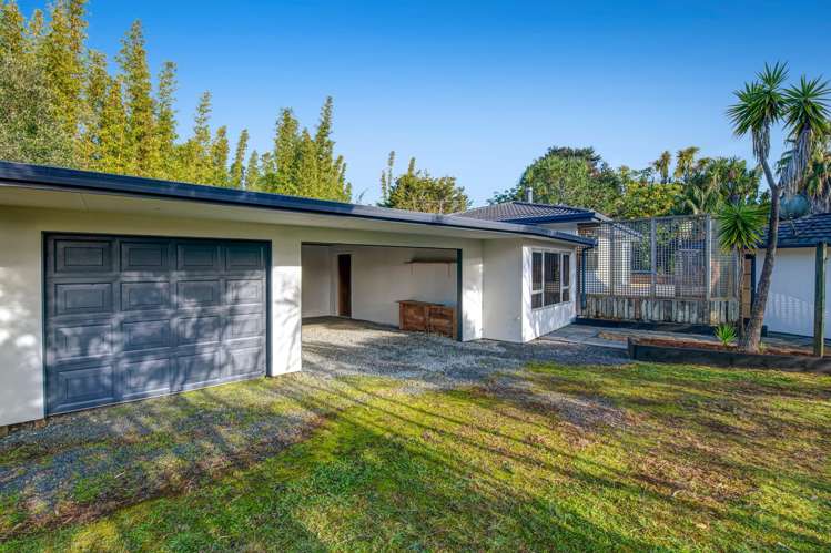 257 Pine Valley Road Dairy Flat_3