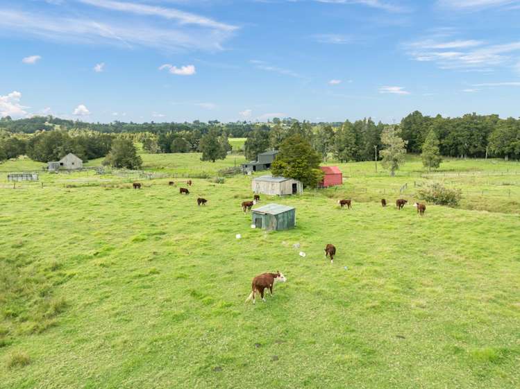 49 James Mckenzie Way Okaihau_6