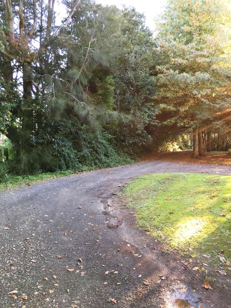 249 Sutton Road Drury_14