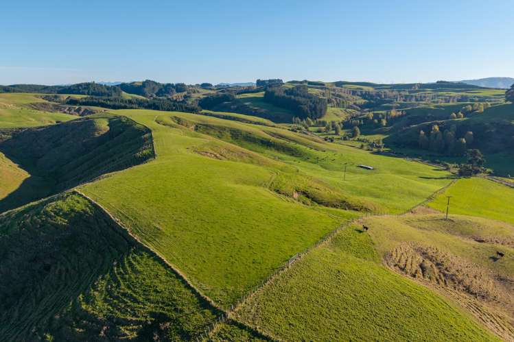 Ridge Road North Pahiatua_14