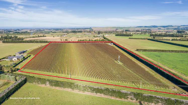 292 Mount Brown Road Amberley_11