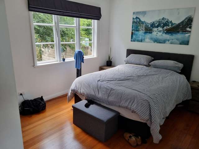 144 Mount Smart Road Onehunga_3