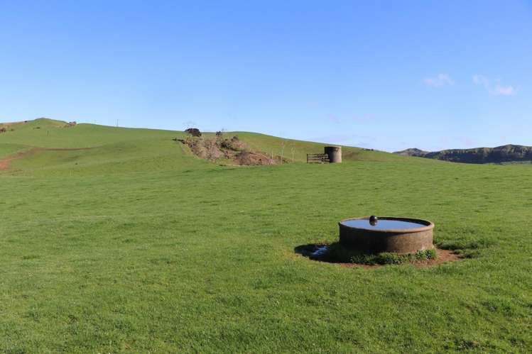 259 Elgood Road Ngaruawahia_3