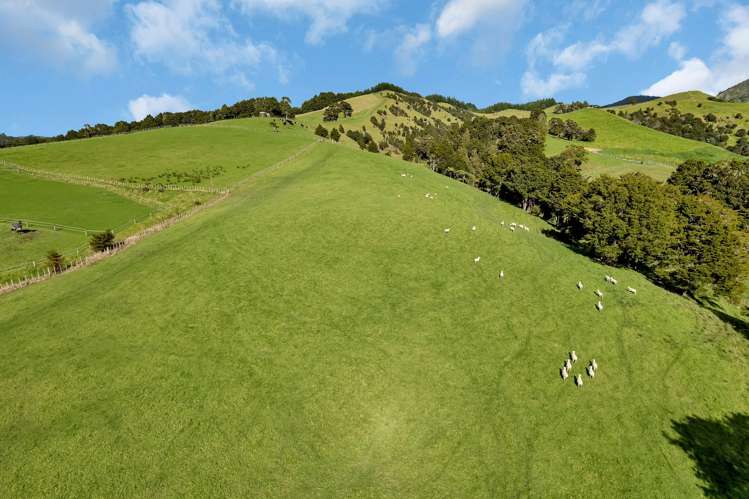 1524 Kirikopuni Valley Road Whangarei_18