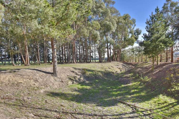 307 Amberley Beach Road Amberley_13