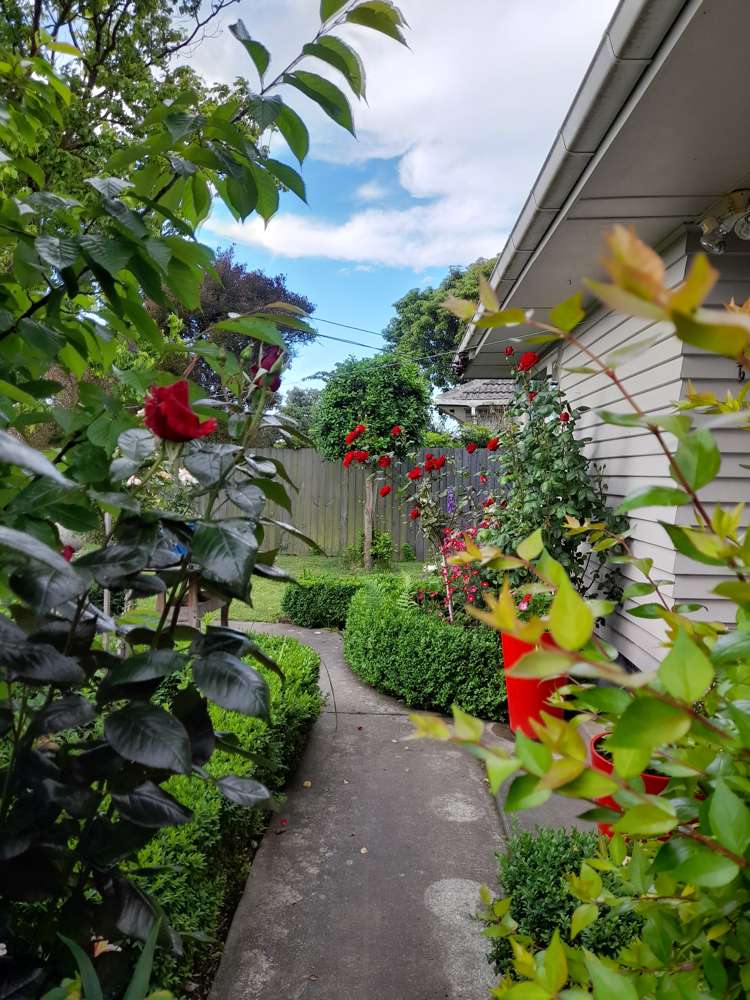 24 Pembroke Street Avondale_13