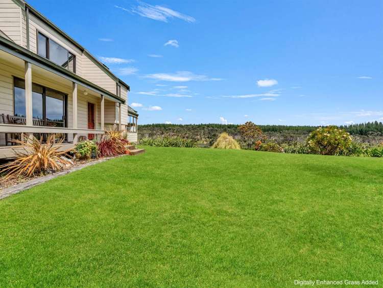 487 Wilson Road South Head Helensville_23