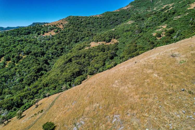 141 Stony Bay Road Akaroa_5