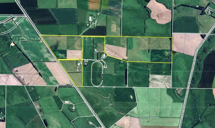 391A Otama Road Otama_22