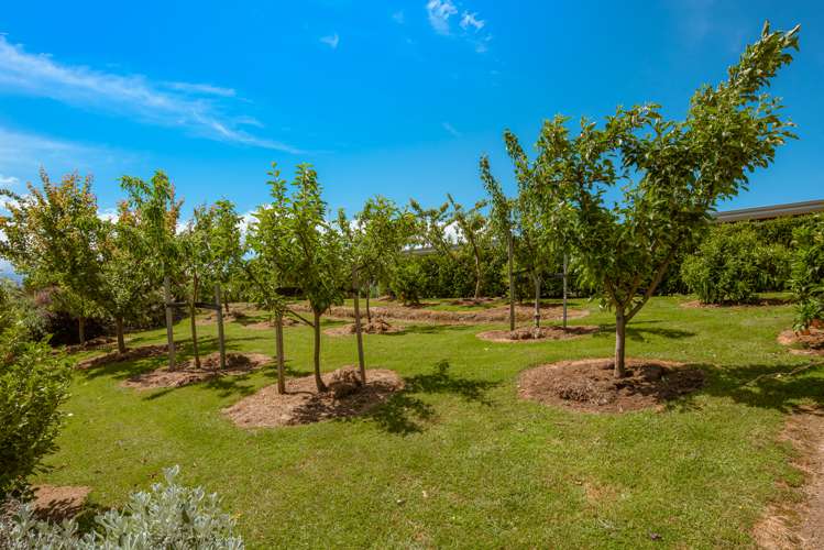 421 Delta Lake Heights Renwick_22