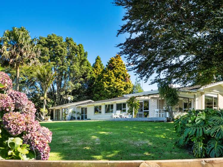 424A Hot Springs Road Katikati_6