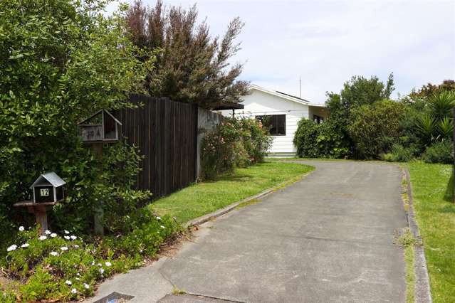 12 Chestnut Court Havelock North_1