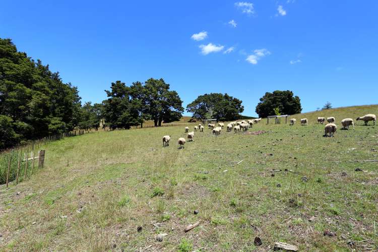 29 Patrick Lane Ramarama_21