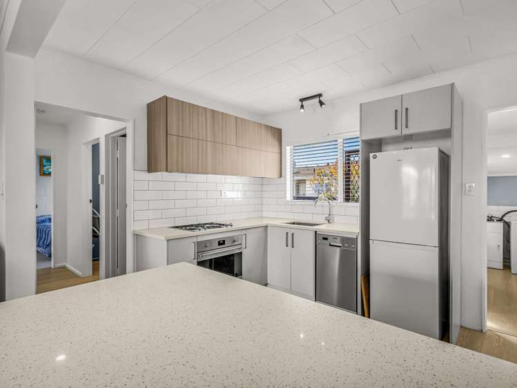 6 Gipps Place Tamatea_5