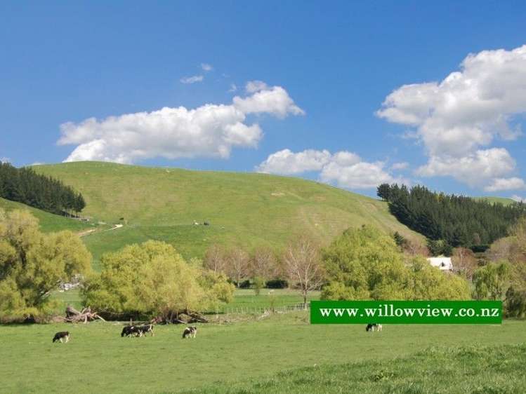 11 Bellerby Lane Maraekakaho_1