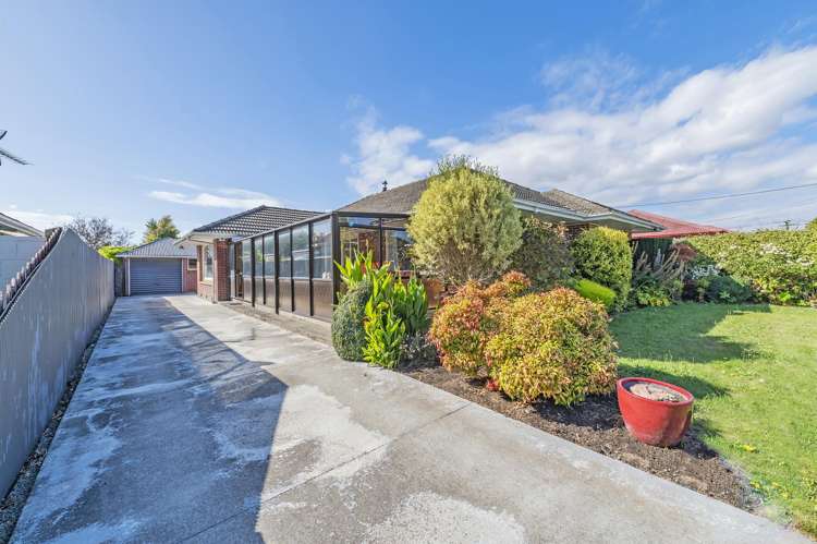 8 Fatima Street Redwood_3