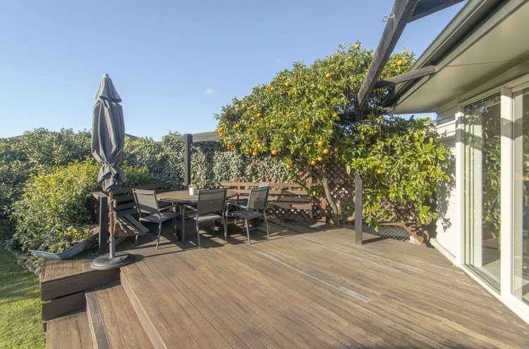 7 Kent Terrace Taradale_22