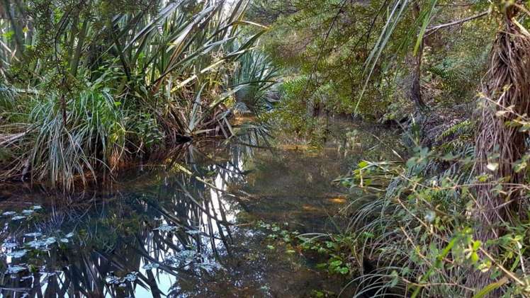 3211 Russell Road Whangaruru_18