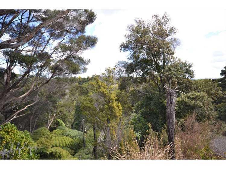 Opito Bay Road Kerikeri_5