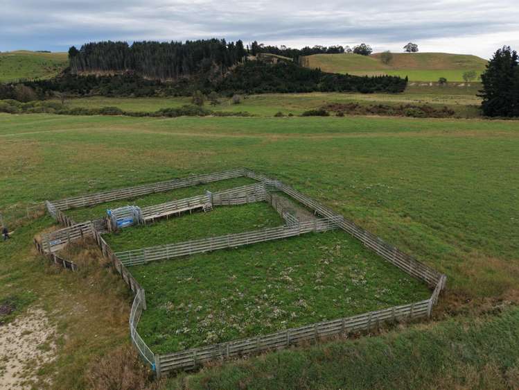 158 Kowhatu Road Waimate_26