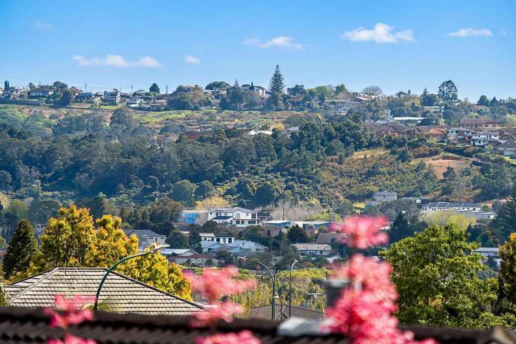 15 Highfields Terrace Henderson_21