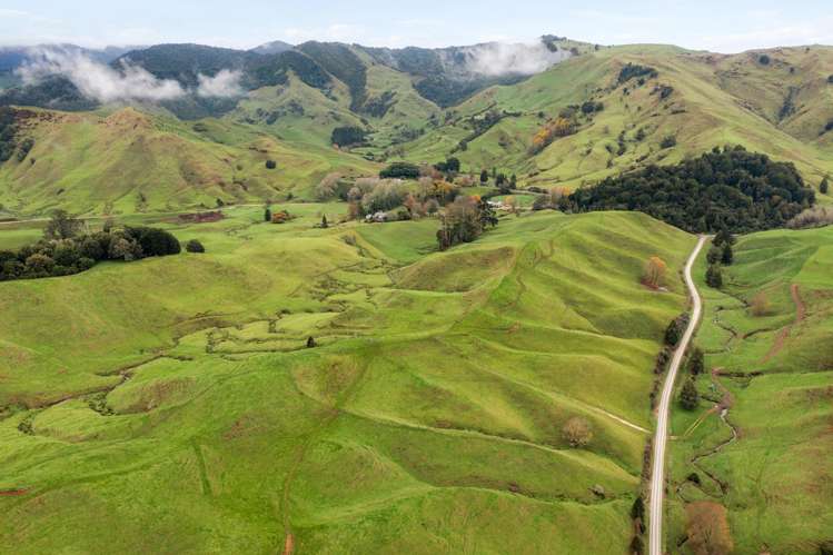 124 Haku Road Mangaotaki_5