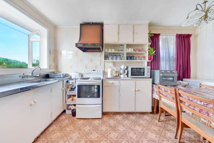 91 Mead Street Avondale_7