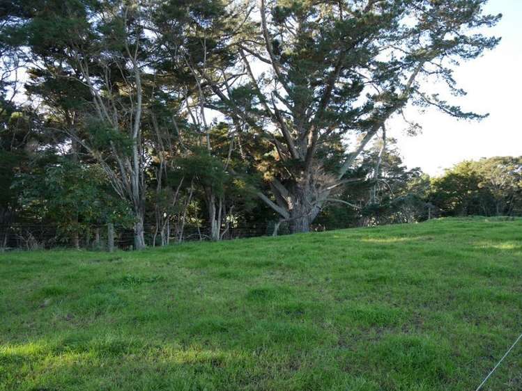 102 Allen Street Morrinsville_6