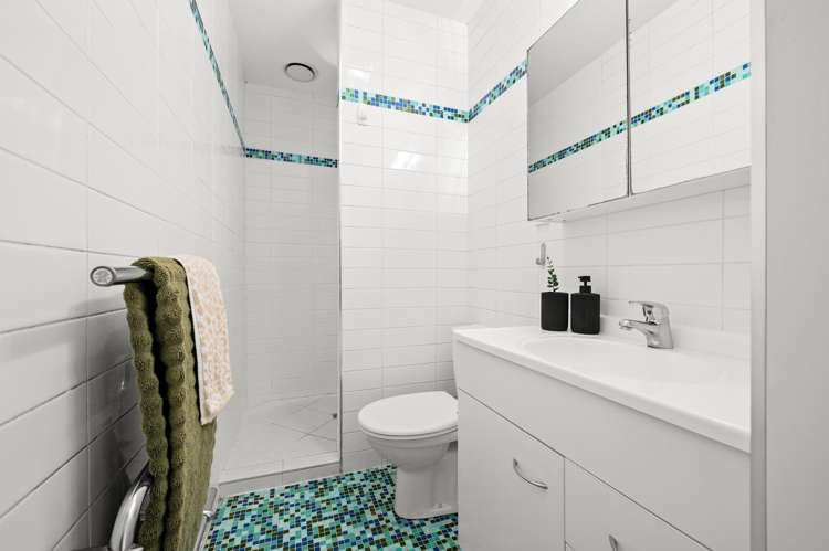 140A Nixon Street Hamilton East_10