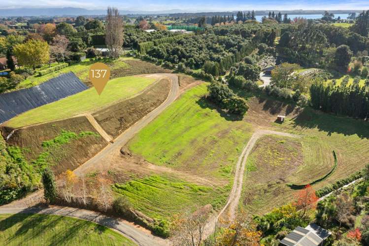 137 Lochhead Road Te Puna_6