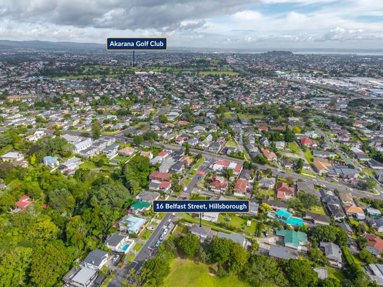 16 Belfast Street Hillsborough_14