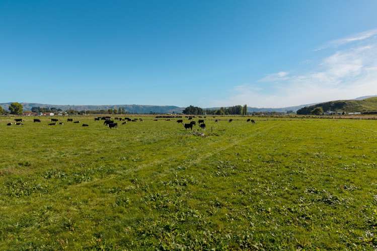 Range Road Woodville_6